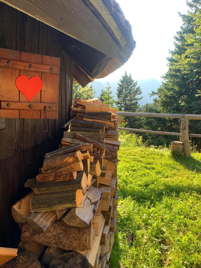 Velika Planina - Chalet Stane - Alps Stahovica Exterior foto