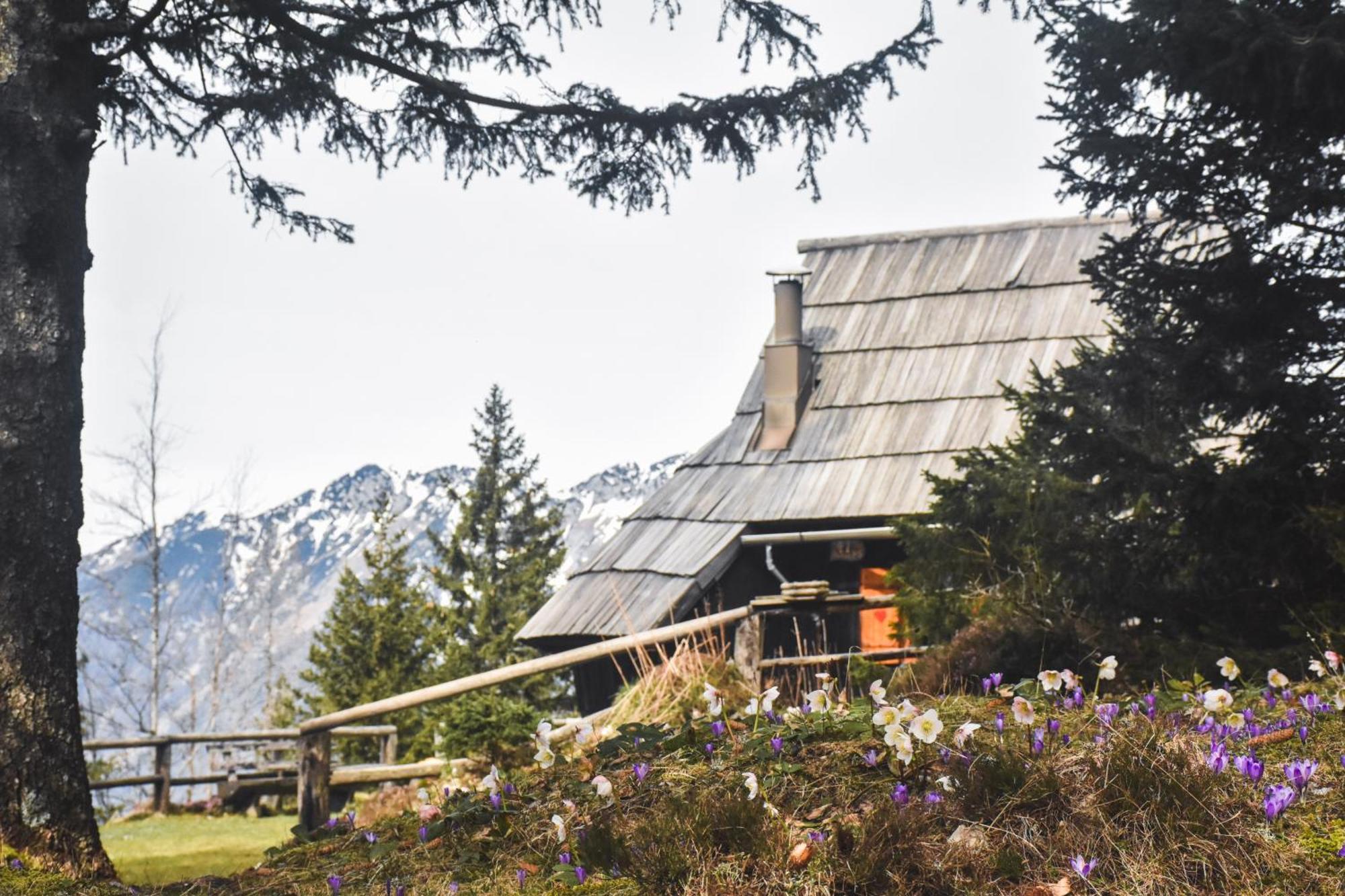 Velika Planina - Chalet Stane - Alps Stahovica Exterior foto