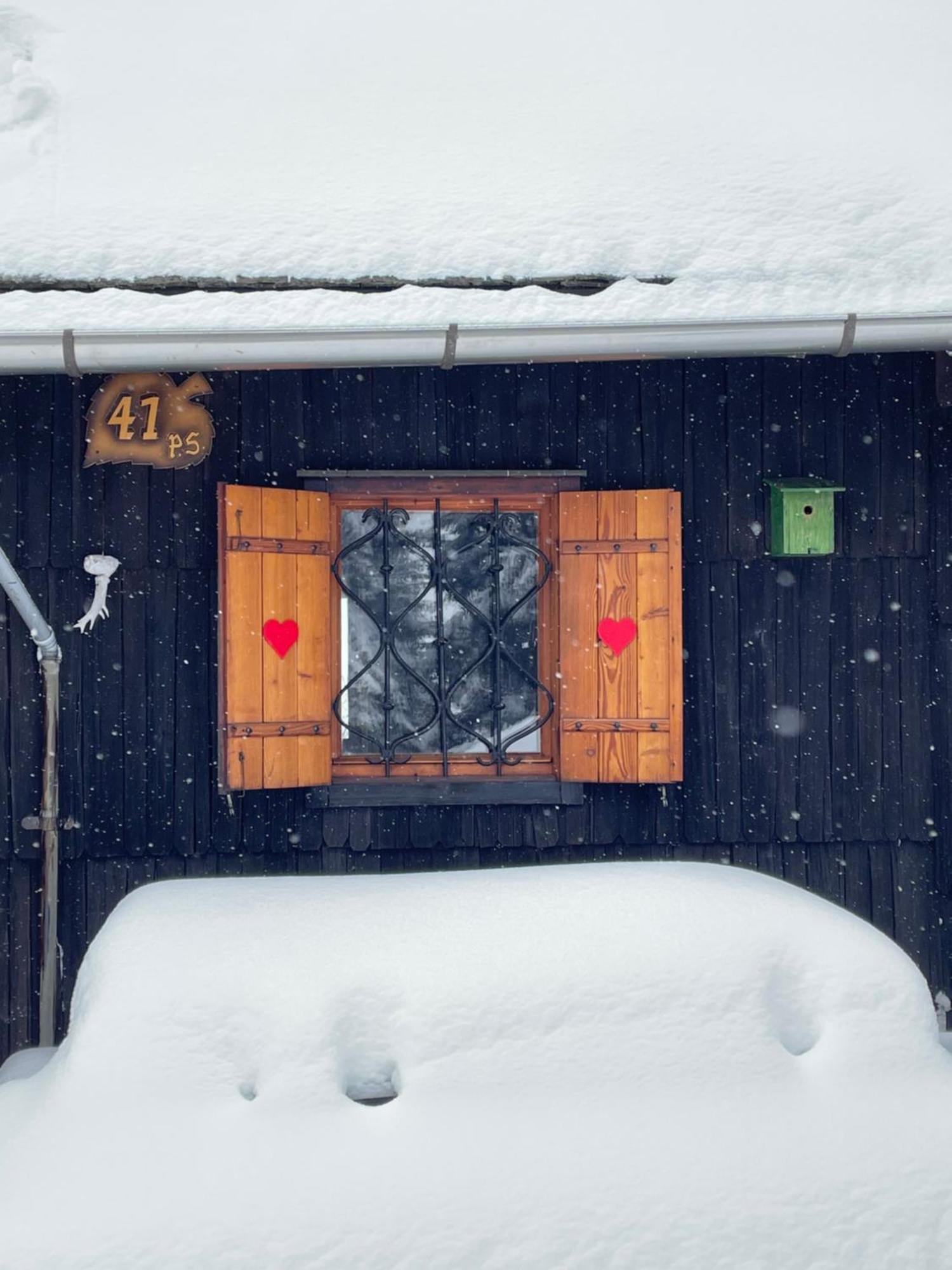 Velika Planina - Chalet Stane - Alps Stahovica Exterior foto